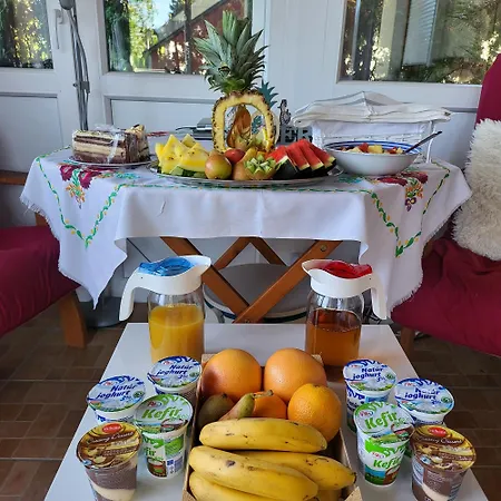 Patkohaz ケストヘイ